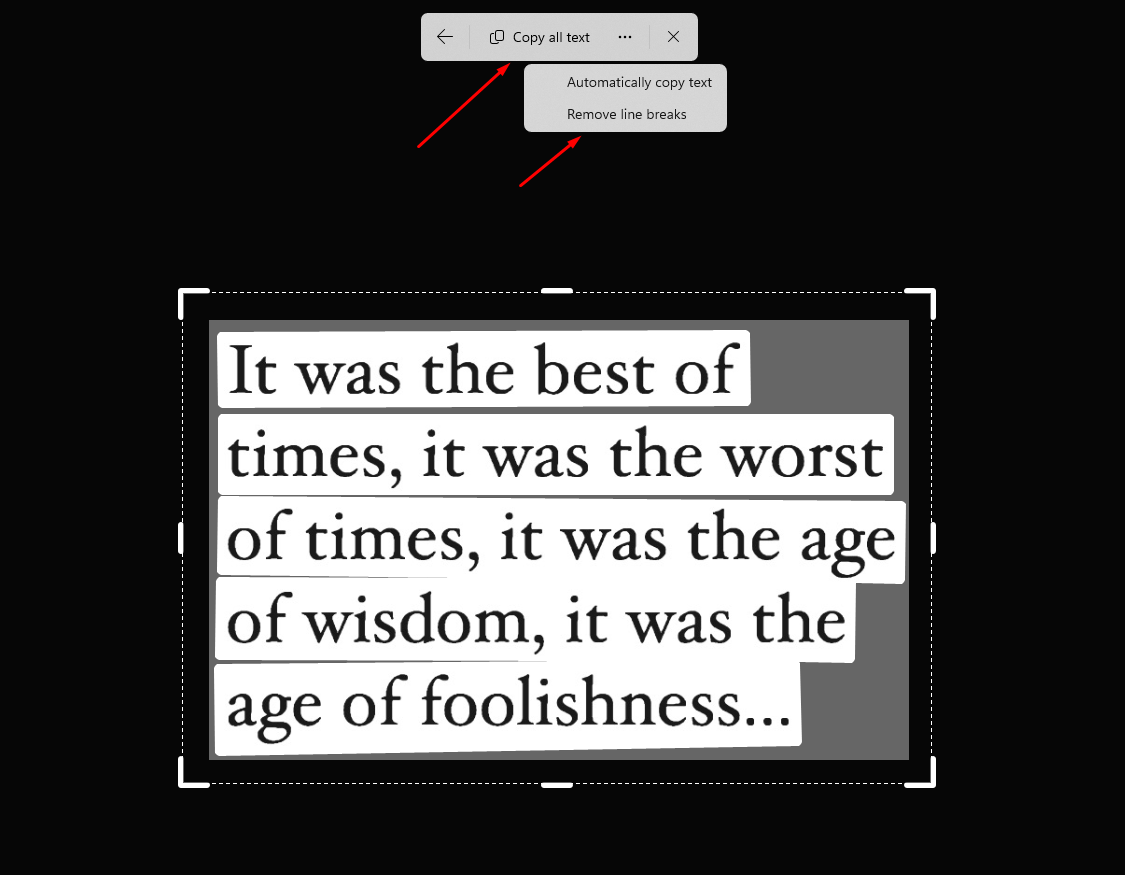 Windows11Snipping tool text extraction